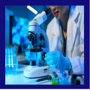 About lab im