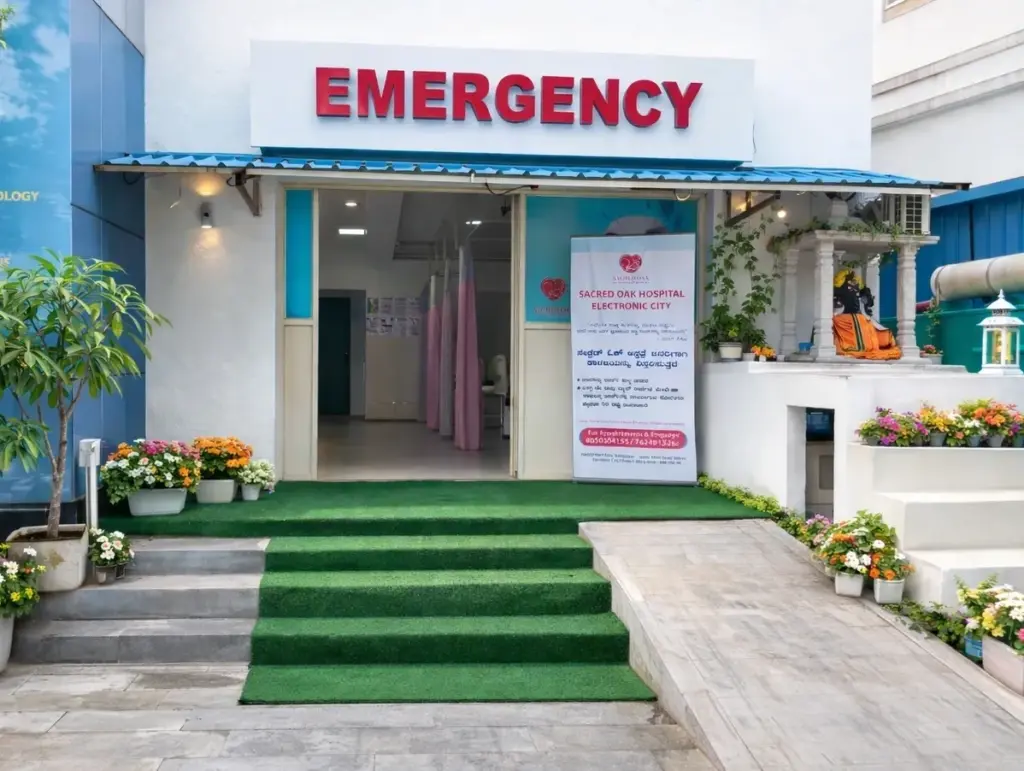 best emergency services in electronic city