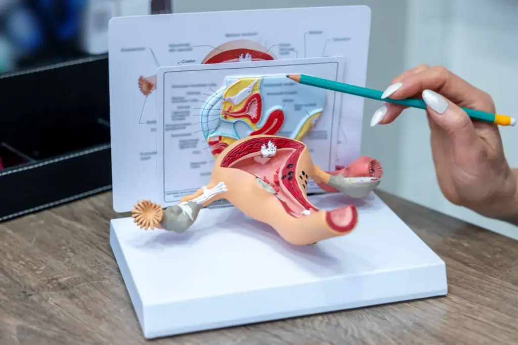 gynaecology surgery in sacred oak hospital electronic city gynaecology surgery in sacred oak hospital electronic city
